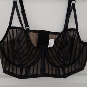 Torrid Black Sheer Striped Bra 38DD NWT